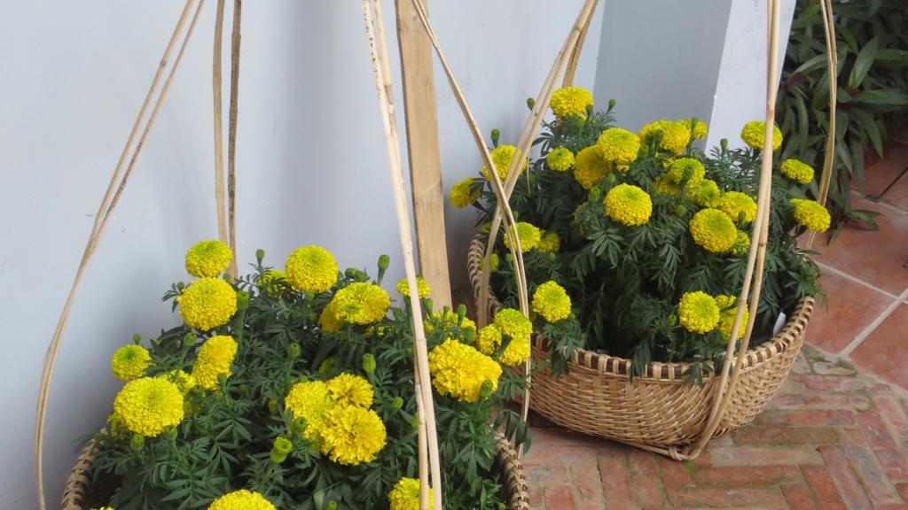 Charming Homestay Hội An Extérieur photo
