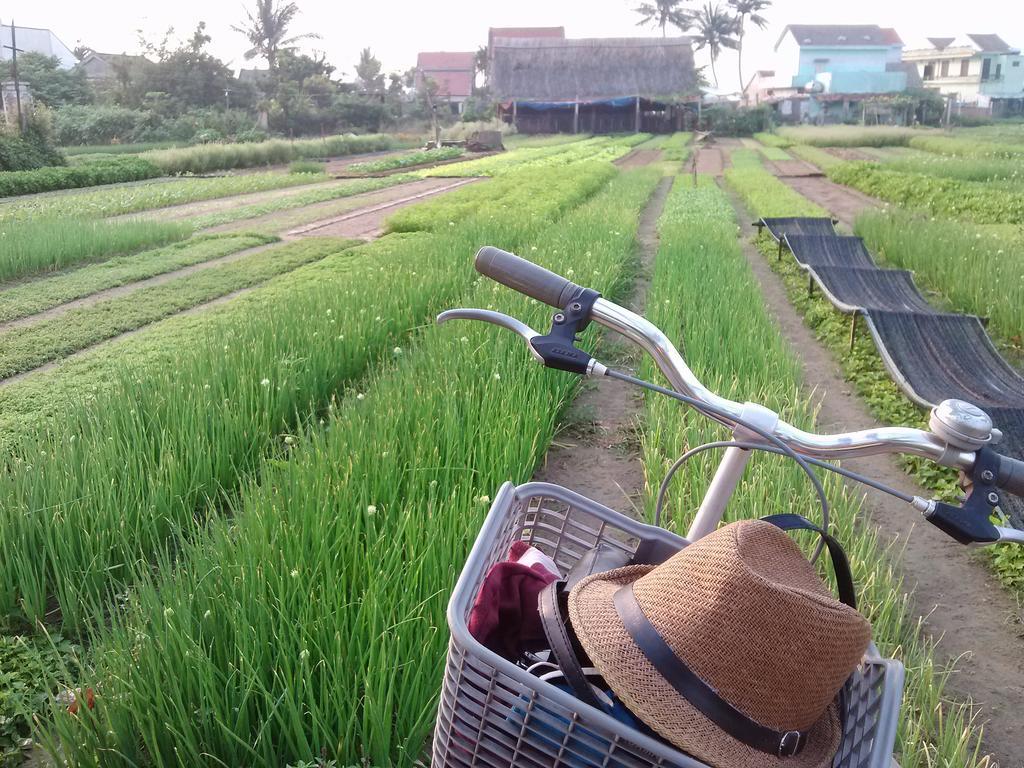 Charming Homestay Hội An Extérieur photo