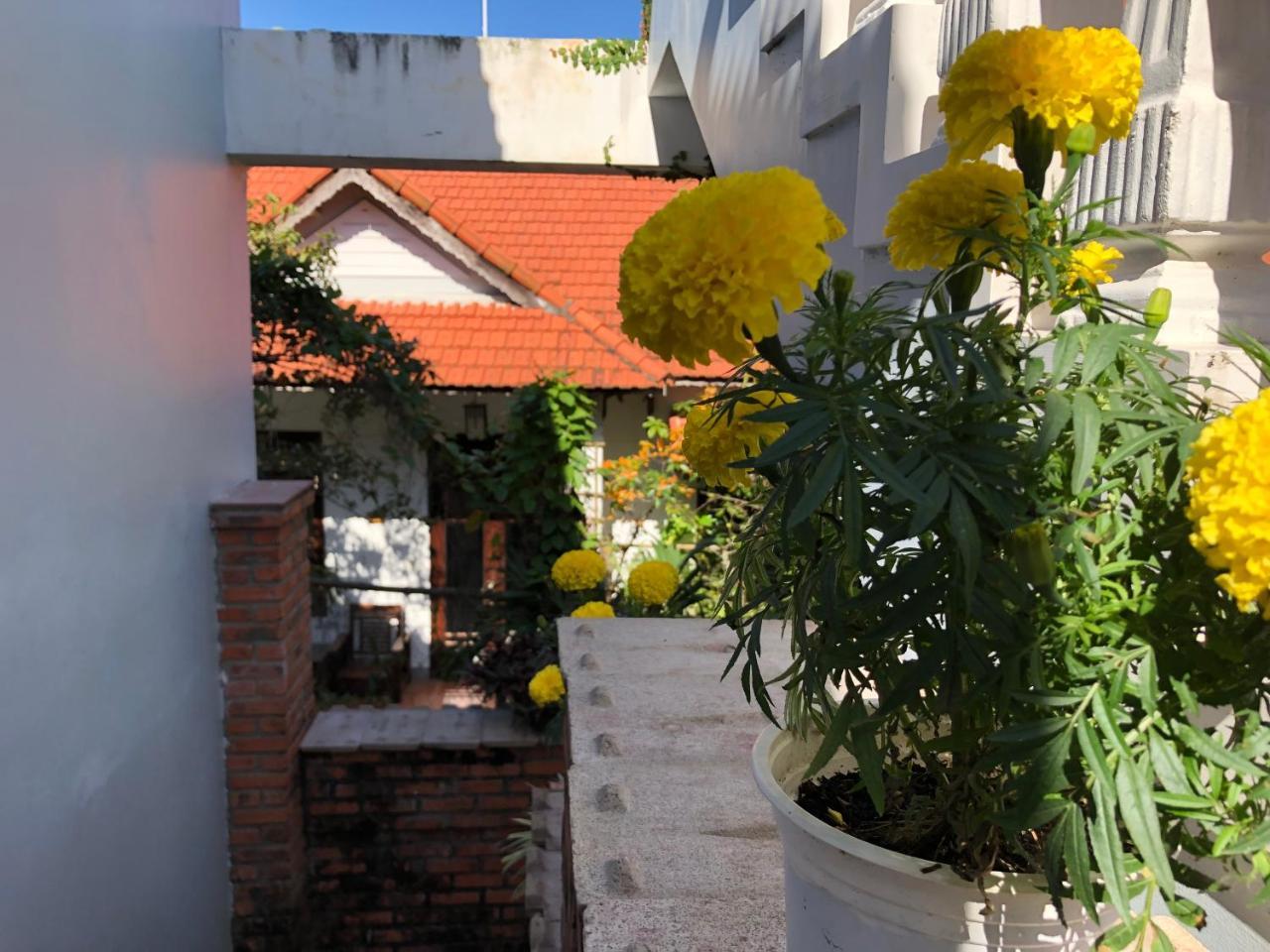 Charming Homestay Hội An Extérieur photo